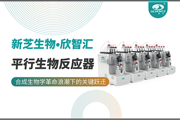 培養(yǎng)菌株和評(píng)估工藝參數(shù)影響太難太慢？平行生物反應(yīng)器提供關(guān)鍵解決方案！