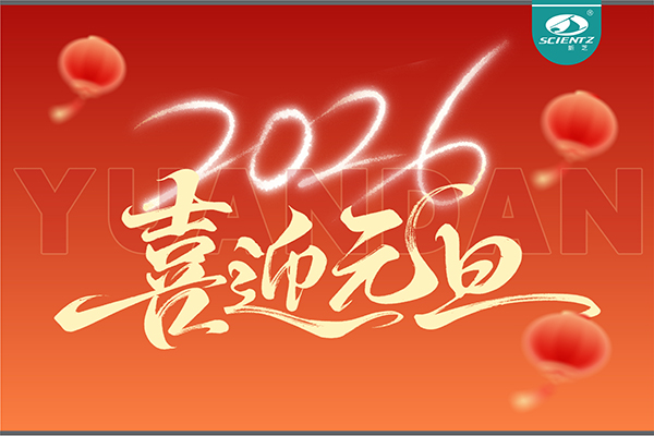 董事長周芳女士新年獻詞：心有定力，沐光而行