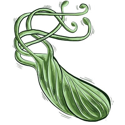 幽門螺桿菌 微信圖片_20241126102150